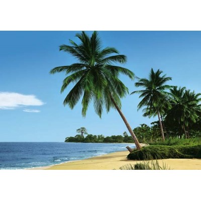 AFRICAN BEACH
