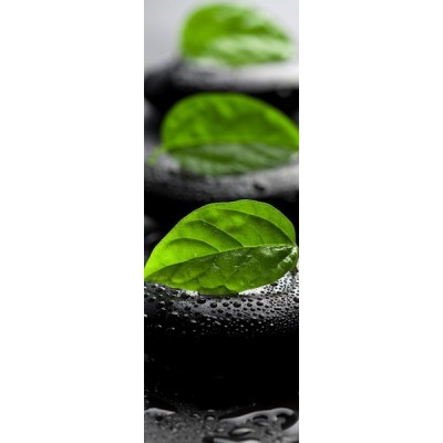 Fotomural Nevera N029 2