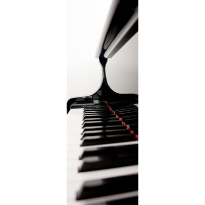 Fotomural Nevera N014 2