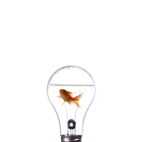 Fotomural Nevera N013 Fotomural Nevera N013