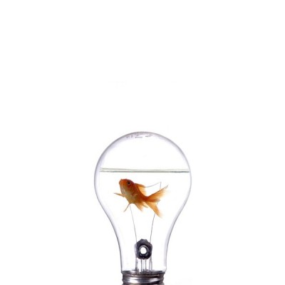 Fotomural Nevera N013 Fotomural Nevera N013