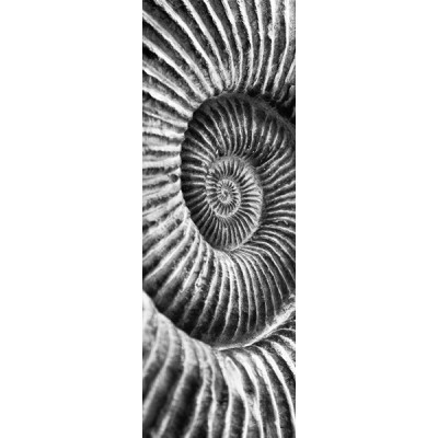 Fotomural frigorifico N005