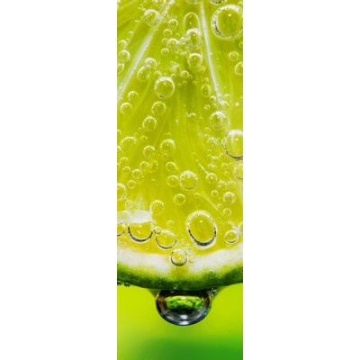 Fotomural frigorifico N004 2