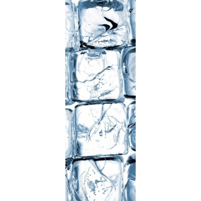 Fotomural frigorifico N003