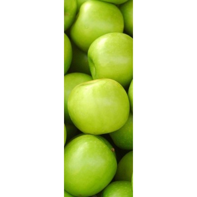 Fotomural frigorifico N016 2