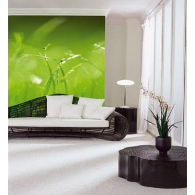 GREEN 2