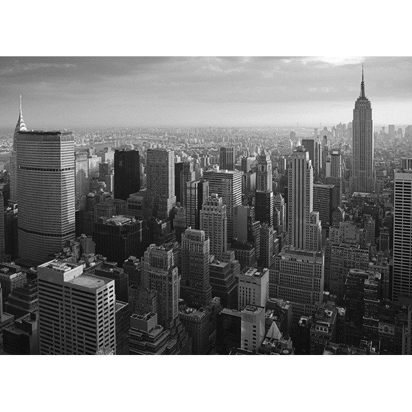 Fotomural NEW YORK NY16