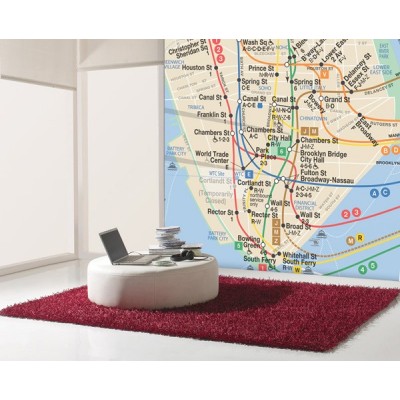 Fotomural NEW YORK NY04