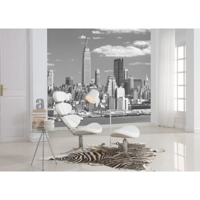Fotomural NEW YORK NY02 2