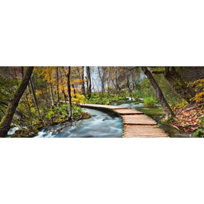 Fotomural PATH INTO THE FOREST