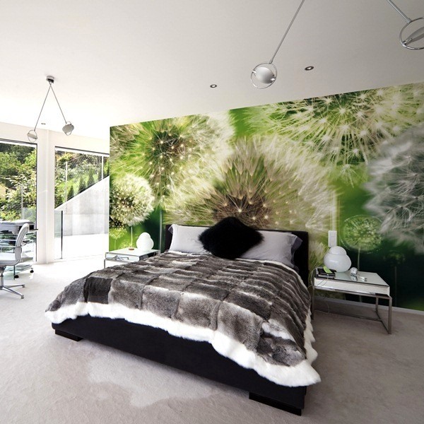 Fotomural DMUCHAWIEC 8-056P