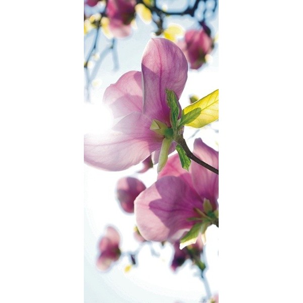 Fotomural FLOWERS FT-0291