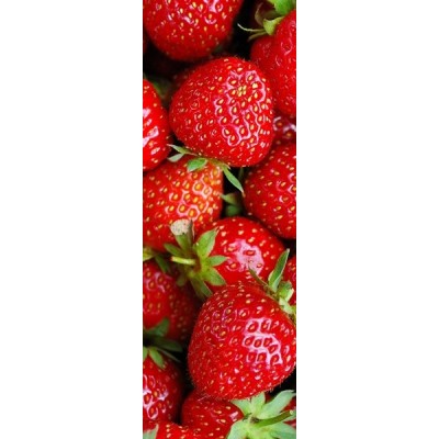 Fotomural frigorifico N032 2