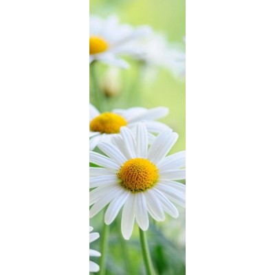 Fotomural frigorifico N035 2