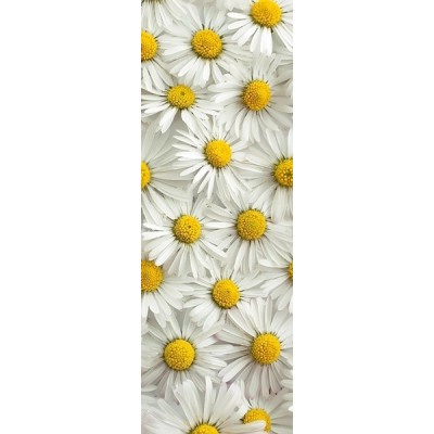 Fotomural frigorifico N044 2