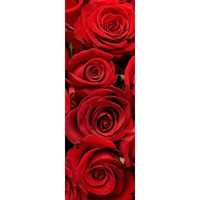 Fotomural frigorifico N051 2