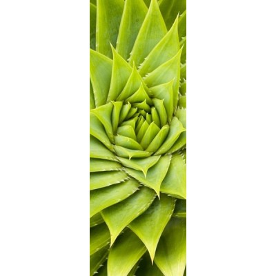 Fotomural frigorifico N053 2