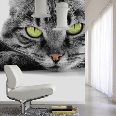 Fotomural Gato FAN004 2