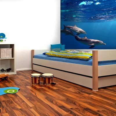 Fotomural Delfines FAN005