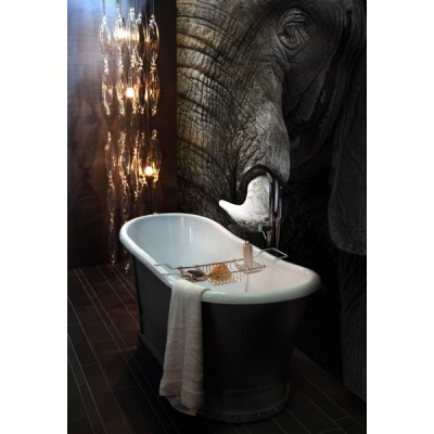 Fotomural Elefante FAN006 2