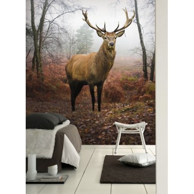 Fotomural Ciervo FAN008