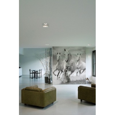 Fotomural Cavalos FAN011