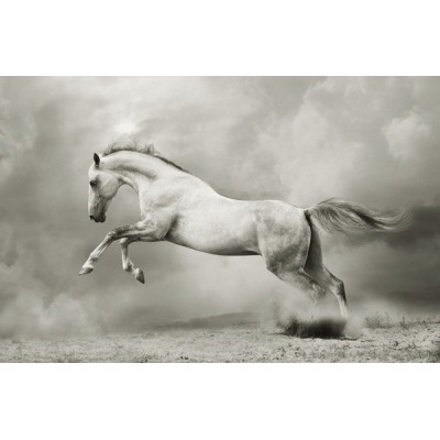 Fotomural Cavalo FAN013