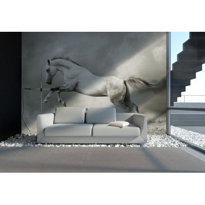 Fotomural Cavalo FAN013 2