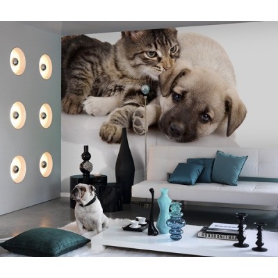 Fotomural Cão e Gato FAN014 2