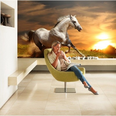 Fotomural Cavalo FAN015