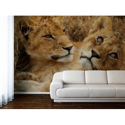 Fotomural Crias Leon FAN016 2