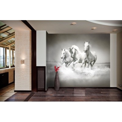 Fotomural Cavalos FAN017 2