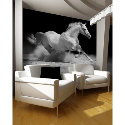 Fotomural Caballo FAN019
