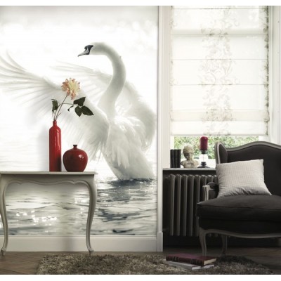 Fotomural Cisne FAN020 2