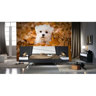 Fotomural Cãozinho FAN021 2
