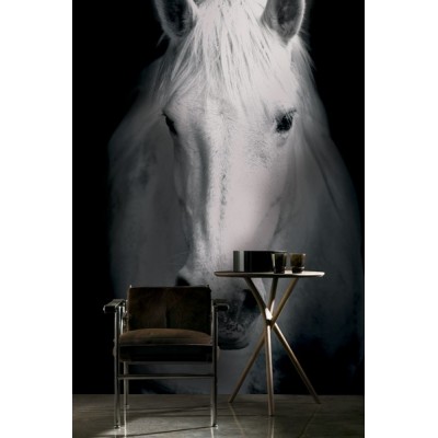 Fotomural Cavalo FAN022