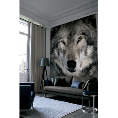 Fotomural Lobo FAN023