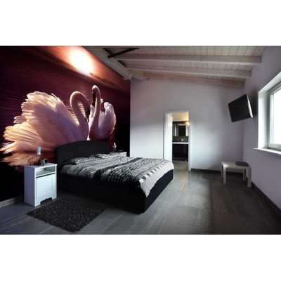 Fotomural Cisnes FAN024