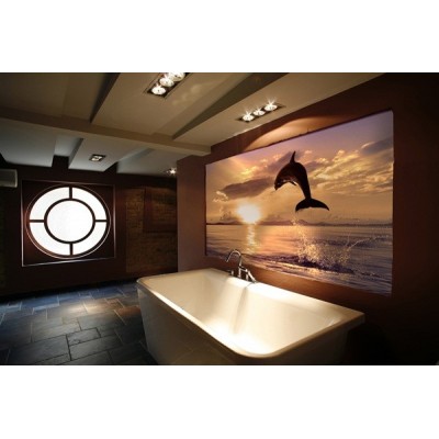 Fotomural Golfinho FAN018