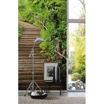 Fotomural Escaleras Naturaleza FPR009 2