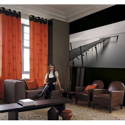 Fotomural Muelle Madera FPR011 2