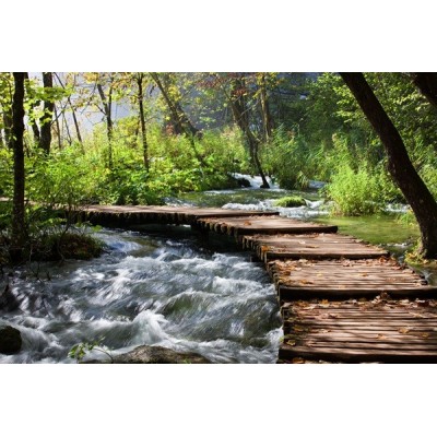 Fotomural Passarela de Madeira FPR017