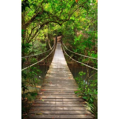 Fotomural Ponte na Selva FPR018