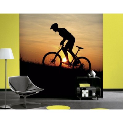 Fotomural Mountain Bike FDE002