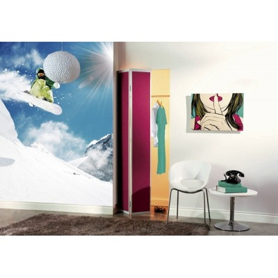 Fotomural Snowboard FDE005