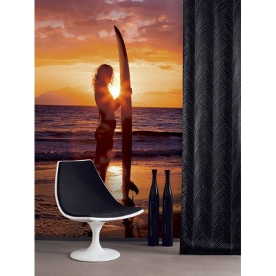 Fotomural Skate Atardecer FDE009 2