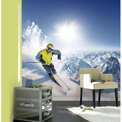 Fotomural Esquiar FDE011 2