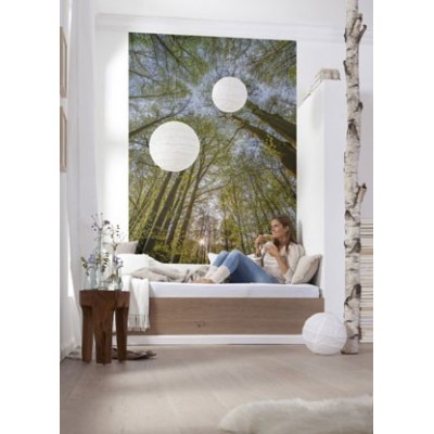 Fotomural CANOPY Fotomural CANOPY