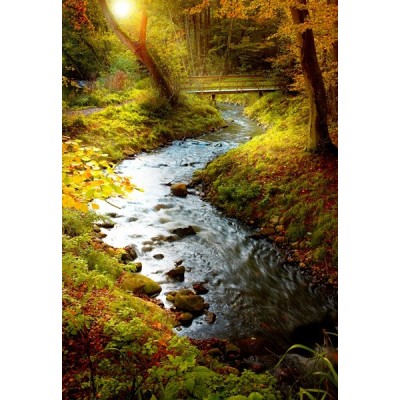 Fotomural Rio na Floresta FNA001