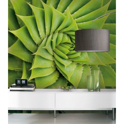 Fotomural Folhas Verdes FAN002